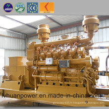 Lvhuan Power 10kw - 500kw Biogas Plant Biogas Power Generator